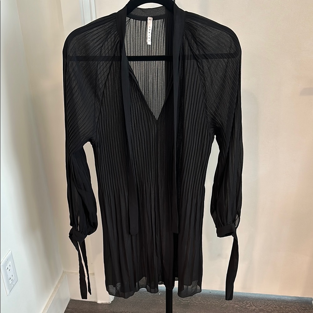 Elegant Black Sheer Dress